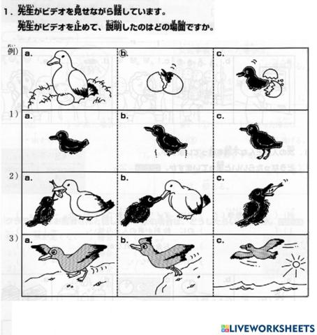 進階二l.46-聴解1