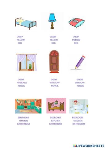 Vocabulario del día a día