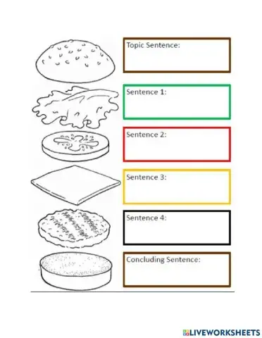 Hamburger Paragraph Graphic Organizer