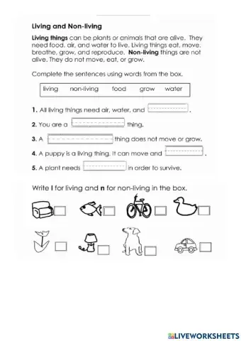 Living non living things