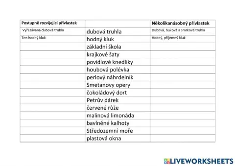 Přívlastky - shodný, neshodný, postupně rozvíjející, několikanásobný 2