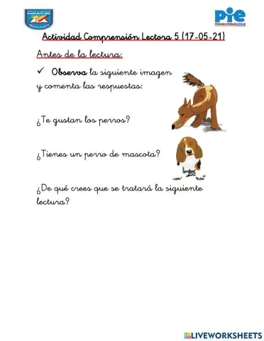 Actividad comprensión lectora 5 refuerzo lector