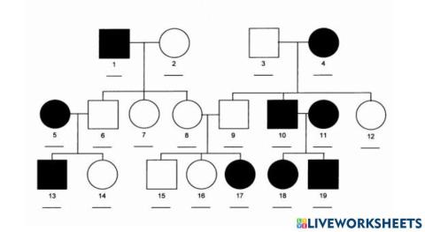 Autosomal Recessive pedigree