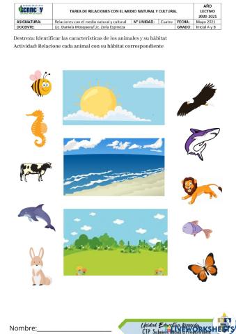 Animales acuáticos, terrestres y aéreos