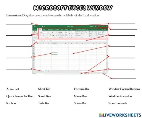 The Excel Window