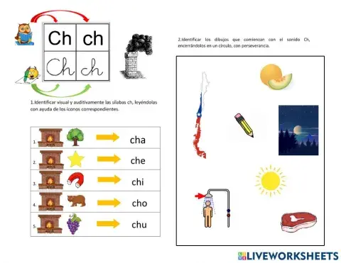 Ficha de Ch