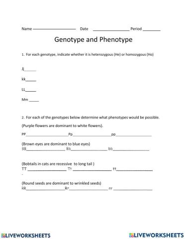 Phenotype and genotype