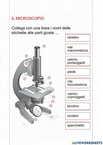 Microscopio ottico - parti