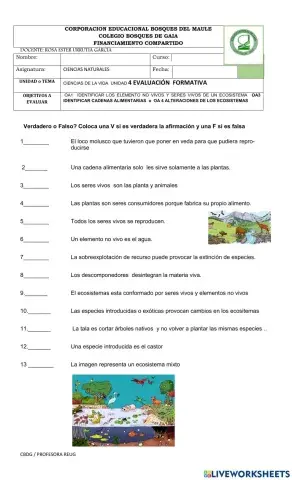 Cadenas alimenarias y los ecosistemas