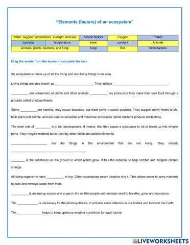 Elements (factors) of an ecosystem