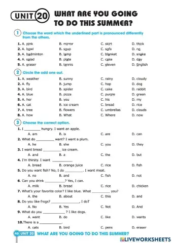 What are you going to do this summer?