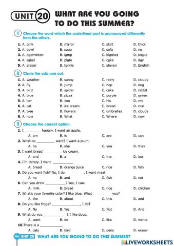 What are you going to do this summer?