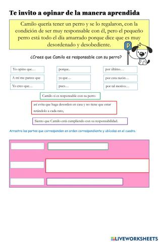 Ordenando tu opinión