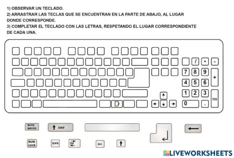 El teclado