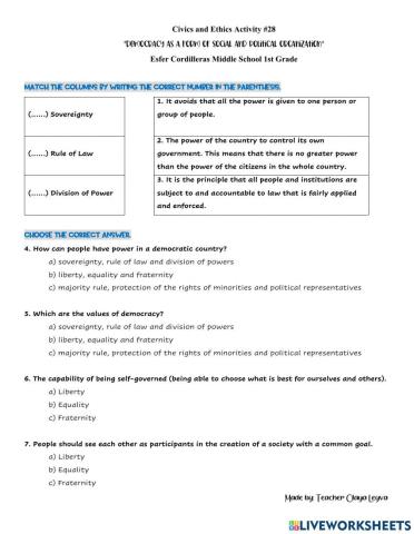 Democracy as a Form of Organization