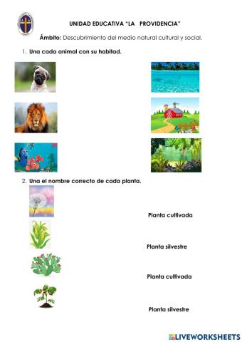 Descubrimiento y comprension del medio natural y cualtural