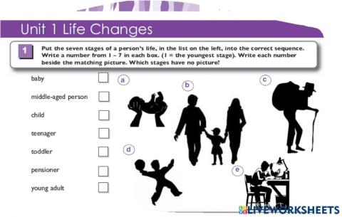 Vocabulary  Stages of life