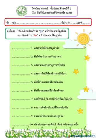 ปัจจัยที่จำเป็นต่อการดำรงชีวิตของพืช (แสง)
