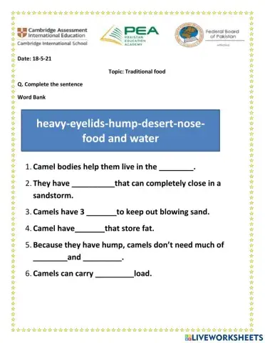 Traditional food of UAE