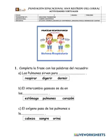 Sistema respitatorio