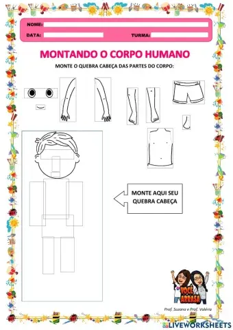 Montando o Corpo Humano