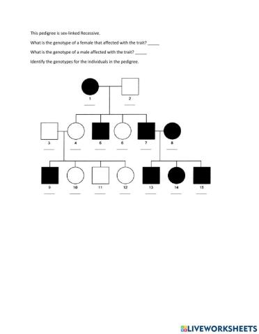 Sex-linked recessive pedigree