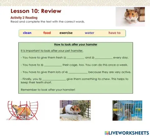 Access 6 - T3 - U8 - L10 - Act 2