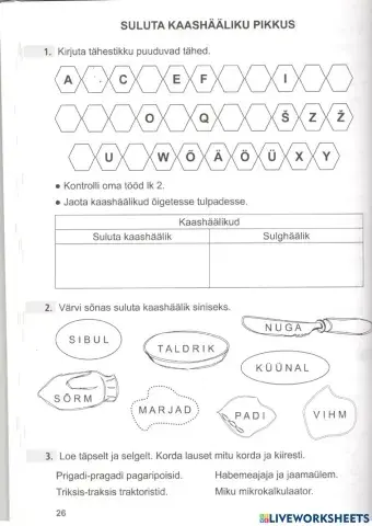 Suluta kaashääliku pikkus