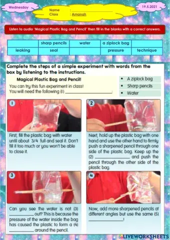 Magical Plastic Bag and Pencil