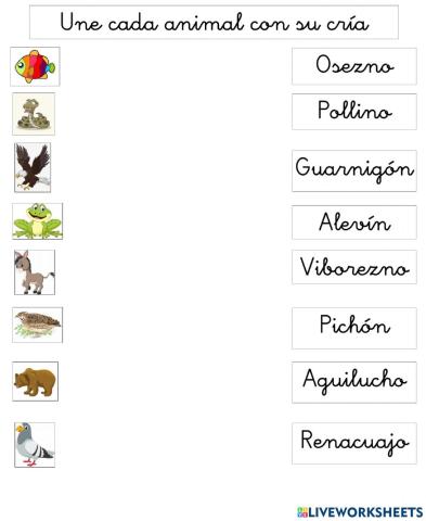 Los animales y sus crías 2