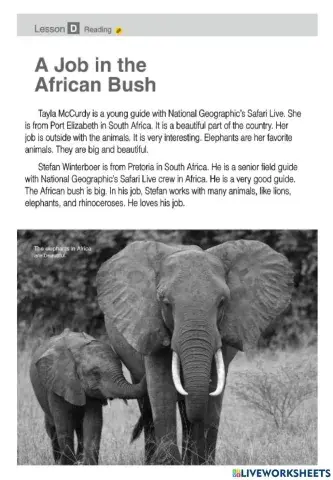 Reading about Africa