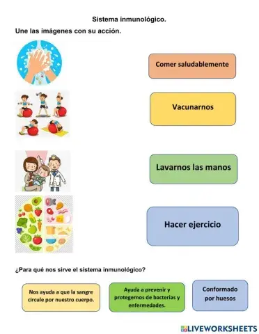 Sistema inmunológico