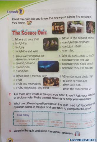 04 Inglés - Let's explore