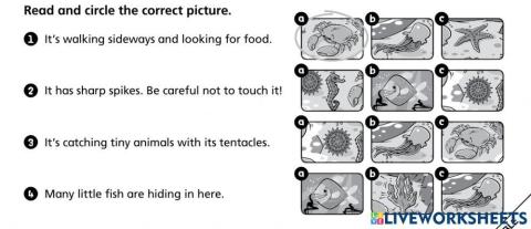 Tiger 3 Unit 6 Cross curricular