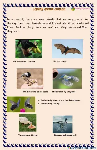 Talking about animals