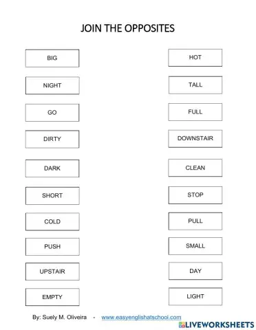 Opposites Exercises