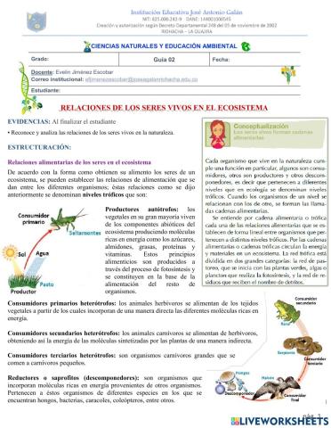 Relaciones de los seres vivos en el ecosistema