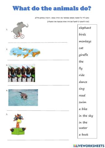 What do the animals do?