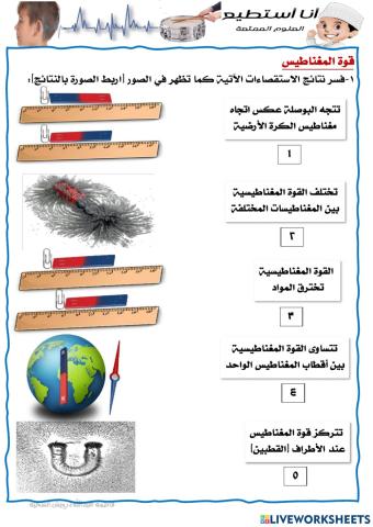 قوة المغناطيس