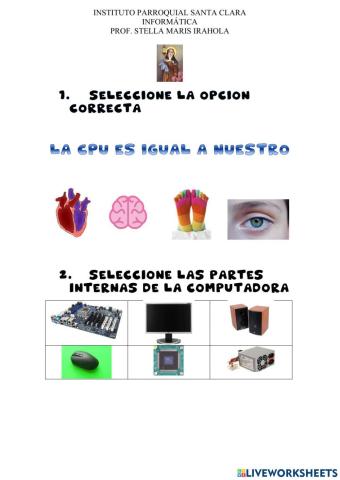 Componentes internos de la computadora