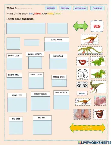 Parts of the body: big-small and long-short
