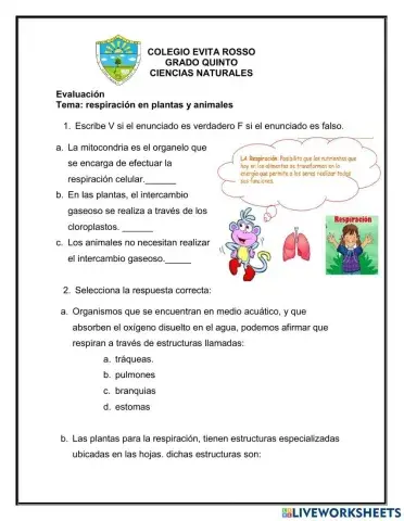 Respiración en plantas y animales