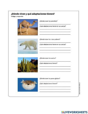 Adaptación de los animales