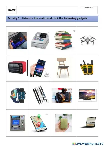 Unit 4: Hello, Are You There?