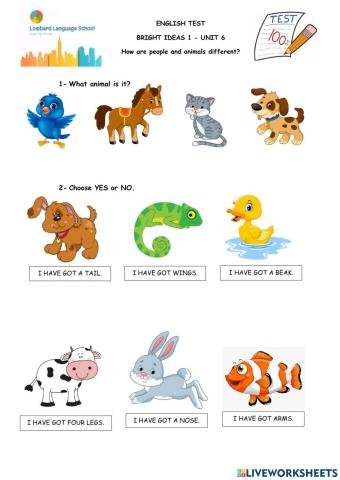 Bright Ideas 1 Practice Test Unit 6