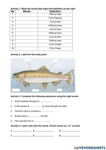 Review sufix less and full