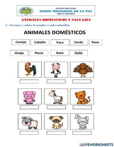 Animales domestico y salvajes