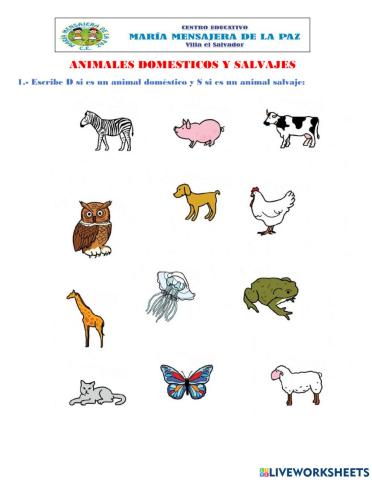 Animales domestico y salvajes