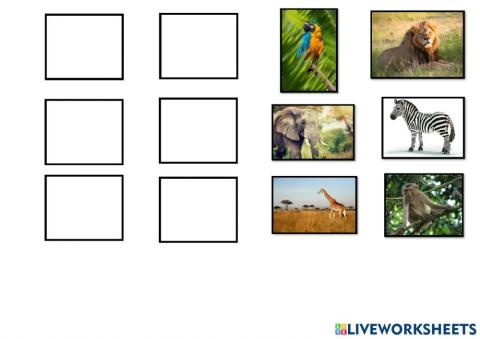 4 years. Run, run, run