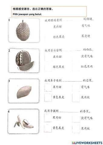 一年级第4课：我们的感觉器官